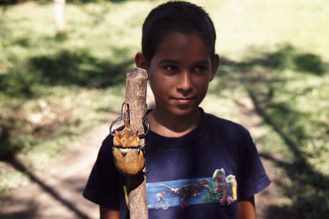 Boy with Rhinoceros Beetle