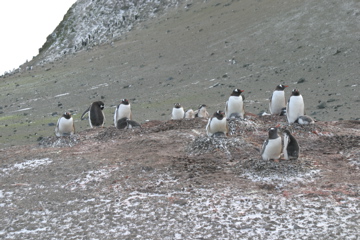 IMG_8015.JPG