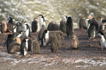 IMG_8045.JPG