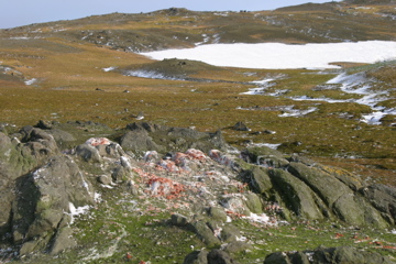 IMG_8071.JPG