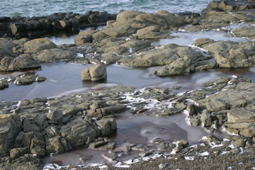 IMG_8080.JPG
