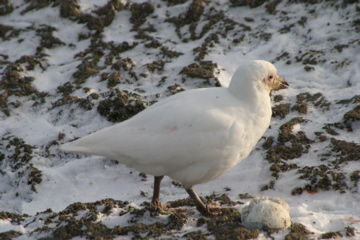 IMG_8018.JPG