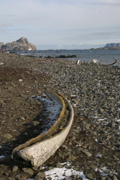 IMG_8144.JPG
