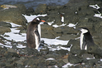 IMG_8169.JPG