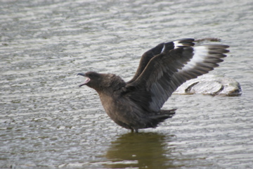 IMG_8186.JPG
