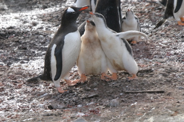 IMG_8245.JPG