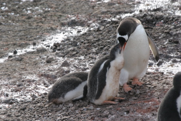 IMG_8247.JPG
