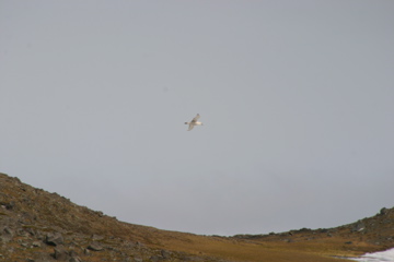 IMG_8257.JPG