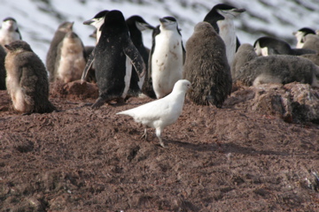IMG_8267.JPG
