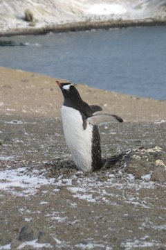 IMG_8029.JPG