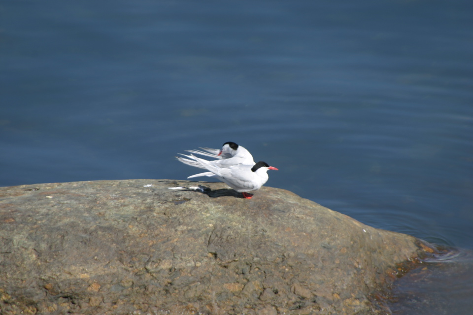 IMG_7783.JPG