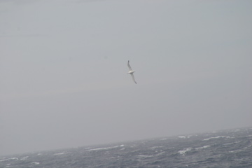 IMG_9296.JPG