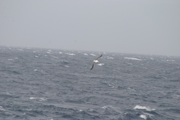IMG_9301.JPG