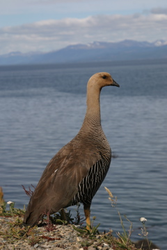 IMG_7789.JPG