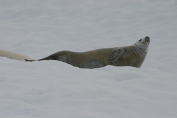 IMG_8631.JPG