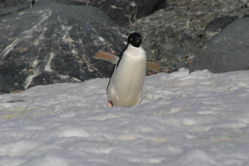 IMG_8884.JPG
