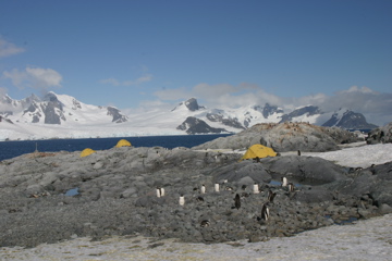 IMG_8891.JPG