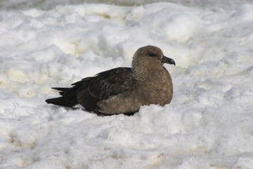 IMG_8913.JPG