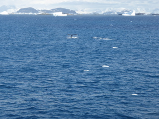 P2080202.JPG