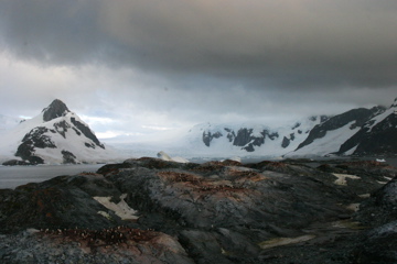 IMG_8952.JPG