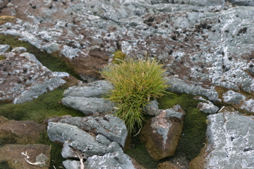 IMG_8957.JPG