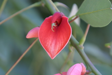 IMG_7653.JPG