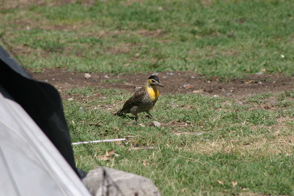 IMG_7644.JPG