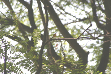 IMG_7637.JPG