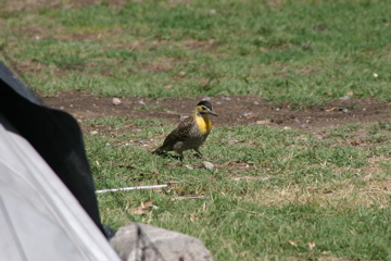 IMG_7644.JPG
