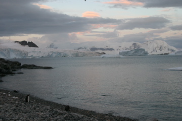 IMG_8349.JPG
