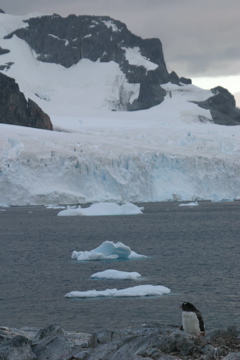 IMG_8398.JPG