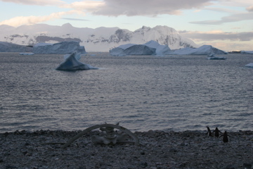 IMG_8408.JPG