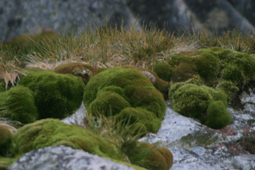 IMG_8353.JPG