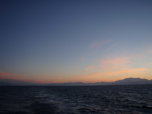 P2090253.JPG