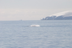 IMG_9123.JPG