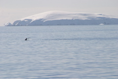 IMG_9126.JPG