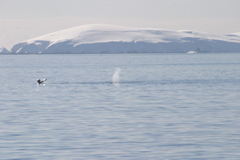 IMG_9127.JPG