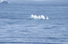 IMG_9140.JPG