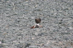 IMG_8460.JPG