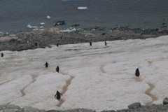 IMG_8462.JPG