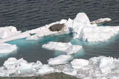 IMG_8477.JPG