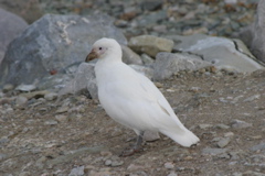 IMG_8488.JPG