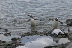 IMG_8494.JPG