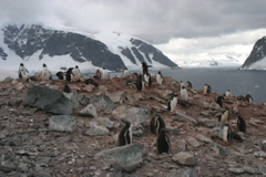 IMG_8450.JPG