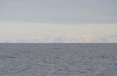 IMG_8271.JPG