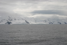 IMG_8288.JPG