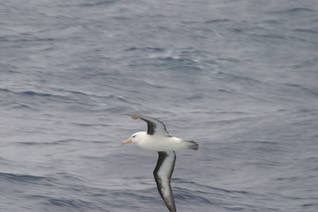 IMG_7957.JPG