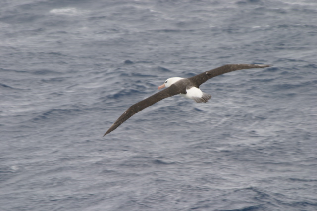 IMG_7958.JPG