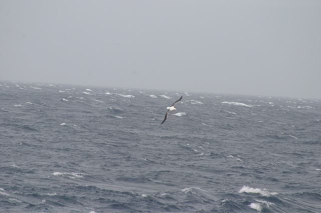 IMG_9301.JPG