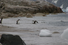 IMG_8531.JPG